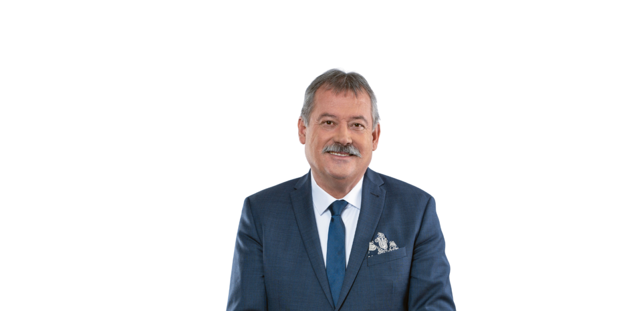 V. Németh Zsolt